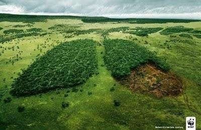 risorse naturali